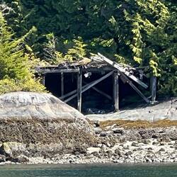 Looks like an old log bridge maybe.