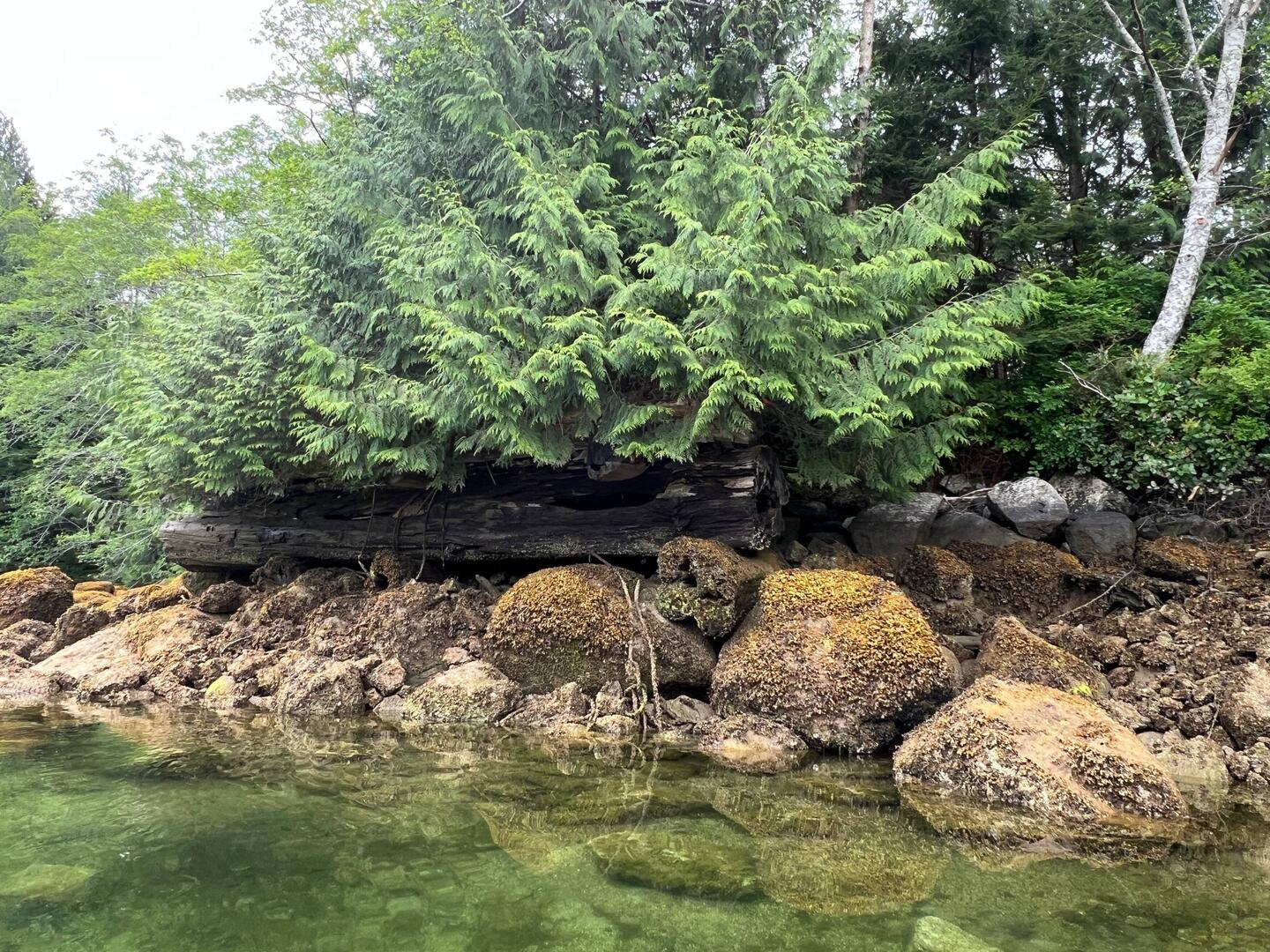 In Stopford Cove. Looks like an old logging dock.