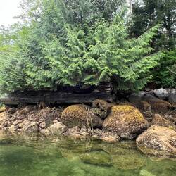 In Stopford Cove. Looks like an old logging dock.