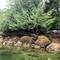 In Stopford Cove. Looks like an old logging dock.