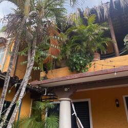 Le nouvel hostel