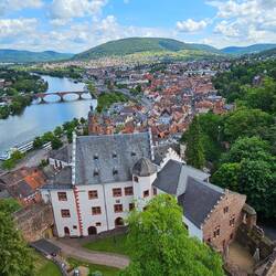 Blick vom Aussichtsturm der Mildenburg