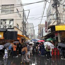 Regenschirm-Meer im "Outer Market" von Tsukiji.