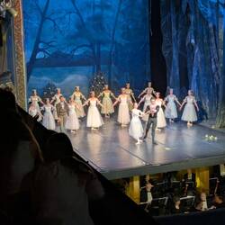 The natiinal ballet
