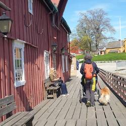 Polar Museum