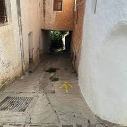 We frequently see yellow arrows from last week's foot-race.