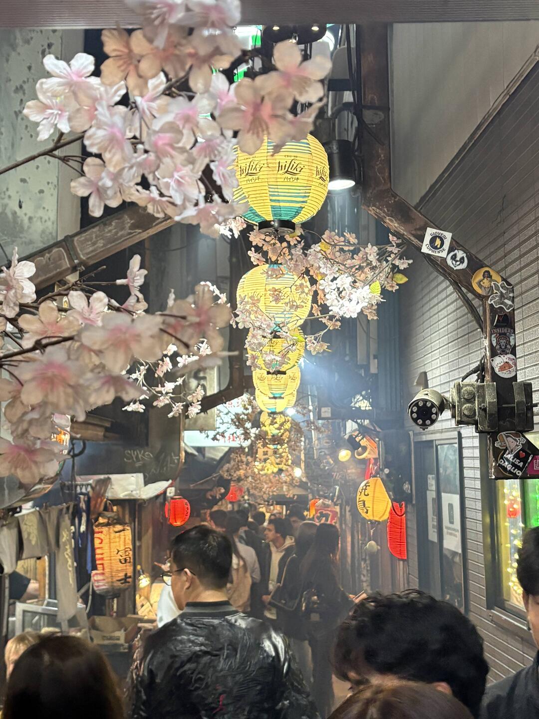 Omoide Yokocho - die Erinnerungsgasse - mitten in Tokio.