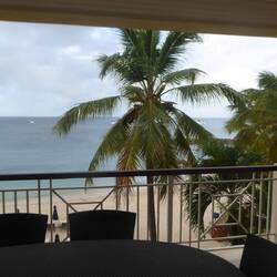 View from terrace