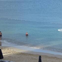Lovely swim