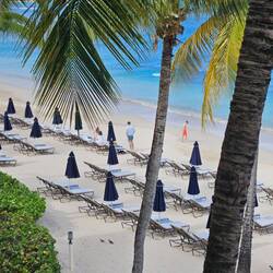 Armstrongs on beach from our terrace