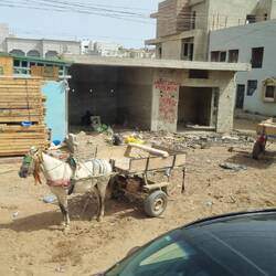 EV? How extravagant! Common light delivery vehicle in Dakar. Seats 6. Has AC if you are moving.