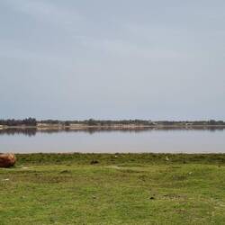 Lake Retba, the Pink Lake for which Dakar was once famous. No longer pink but may be again.