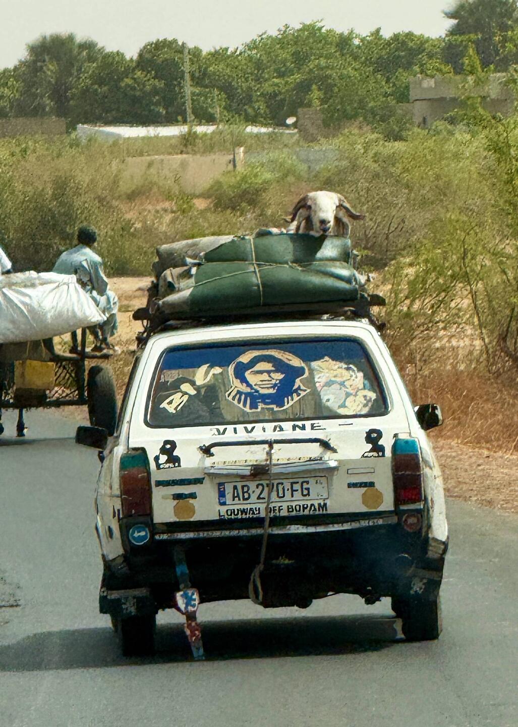 Es gibt eigentlich kaum ein Auto ohne Schaf auf dem Dach 🐏