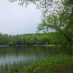 Gosh Lake