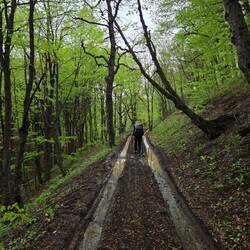 Not the worst track by far, but one of the muddier ones!