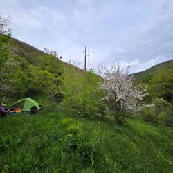 Campsite