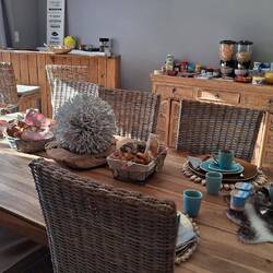 Stilvolles Frühstück mit Blick in einen parkähnlichen Garten