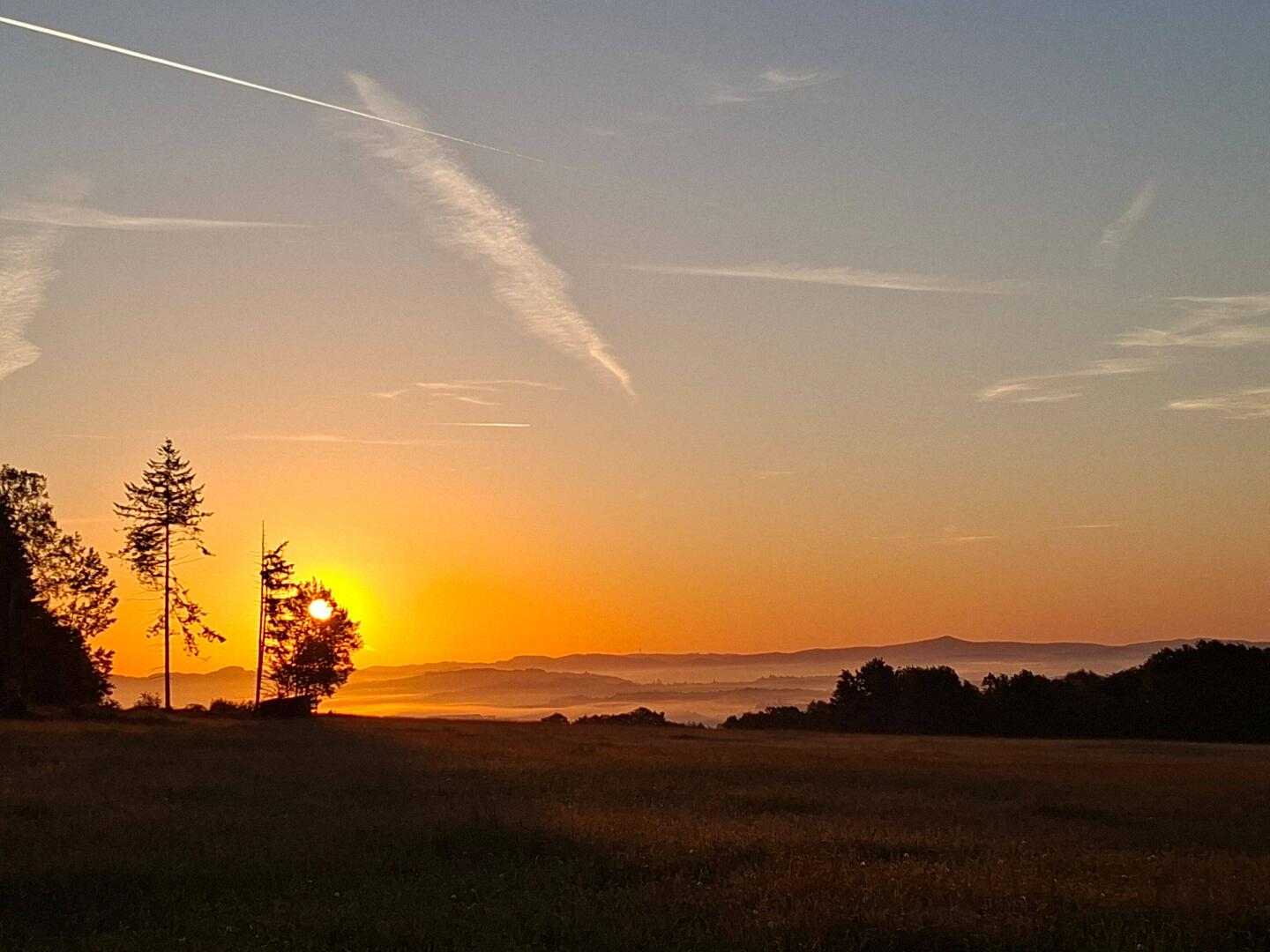 Guten Morgen!
