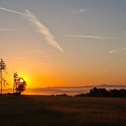 Guten Morgen!