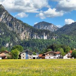 Blick auf Neuschwanstein