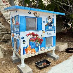 Shelter for stray cats