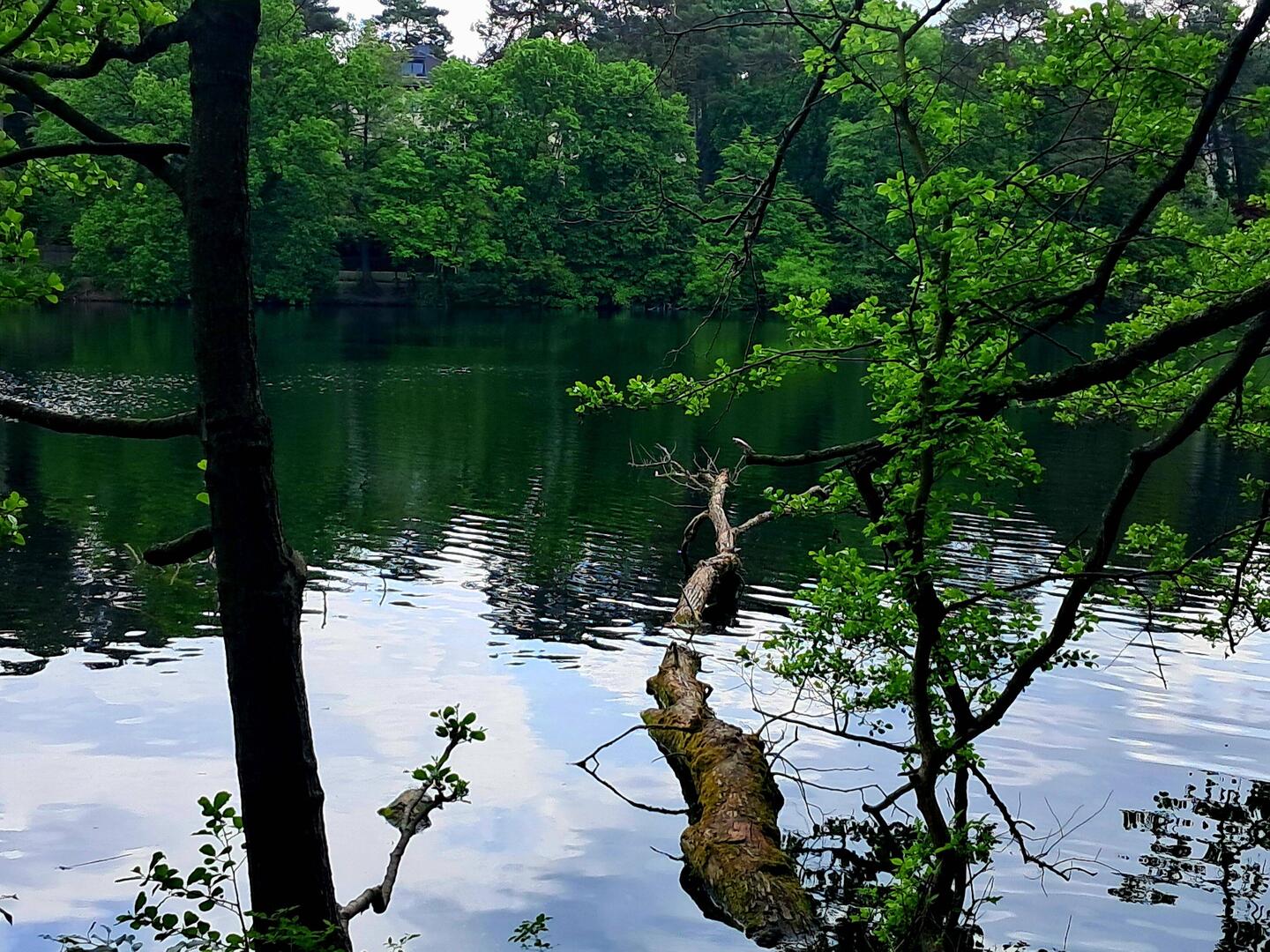 Schlachtensee