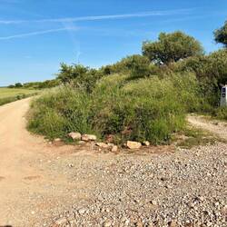 The Way to the right (see marker) and a perfectly good road 10 feet to the left. I took the road.