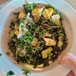 Frischer Kräutersalat aus dem Garten