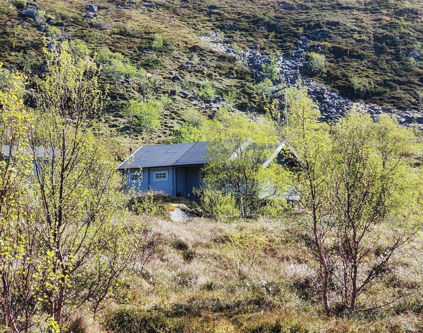 Langsam wird es Frühling