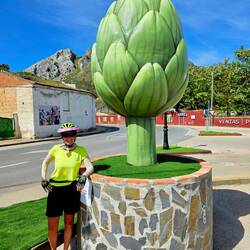 Cycled past acres of artichoke fields, but didn't know what they were until we got into town!