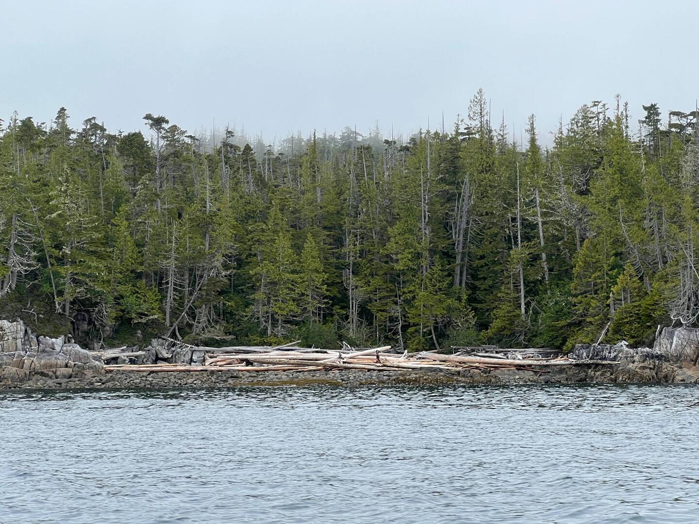 A big pile of logs washed up on the beach along the Queen Charlotte Strait.