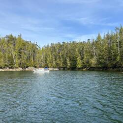 Little Joe anchored in the Miles Inlet south cove.