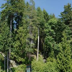 Tsuga Beach Inn in Sechelt