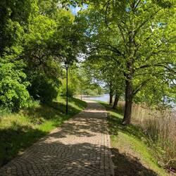 Der schöne Seeweg 🌷