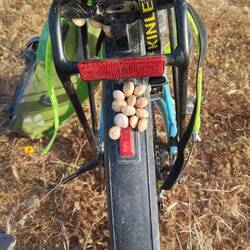 Neuer Lieblingsort der Schecken 🐌⤴️🚲