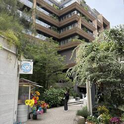 In Daikanyama glaubt man zuerst, in einem Wohnquartier gelandet zu sein.