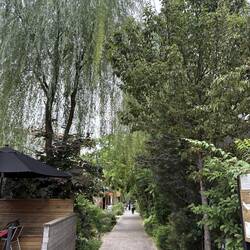 Hier war mal ein Bahntrassee, jetzt säumem trendige Cafés die Log Road.