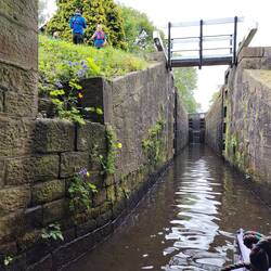Welsh Poppies & Aquilegia growing on the wall. Kind CRT volunteers worked us through this lock