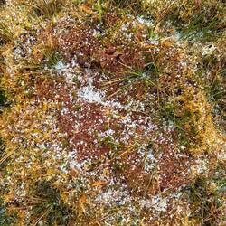 Ein bisschen Hagel schadet auf der Wanderung nicht😅