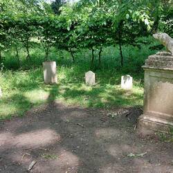 Dog's Cemetery