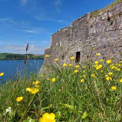 Charles Fort