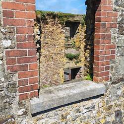 Charles Fort