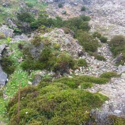 This is an old mine shaft