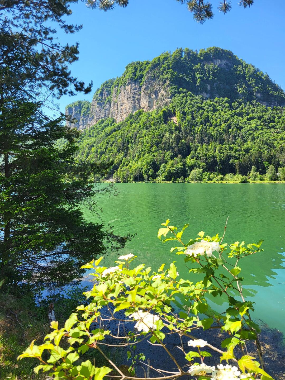 Die Drau im Rosental.