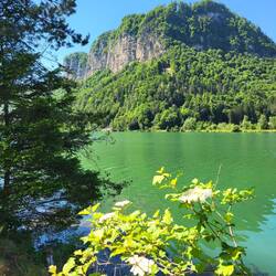 Die Drau im Rosental.