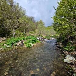National park
