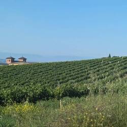 Getting into wine country.