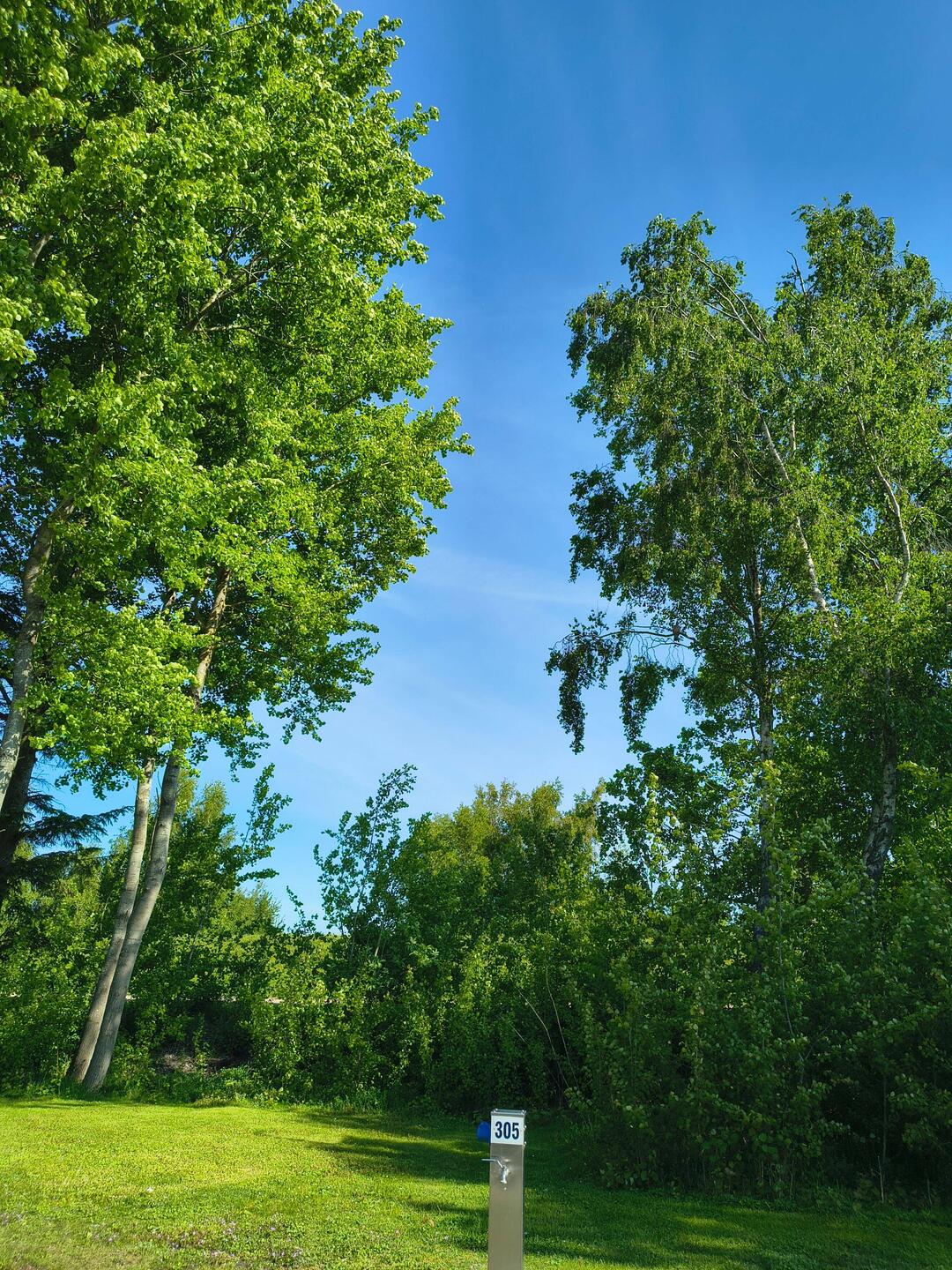 Strahlend blauer Himmel zum Frühstück