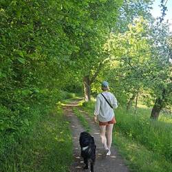 Wanderung um die drei Maare