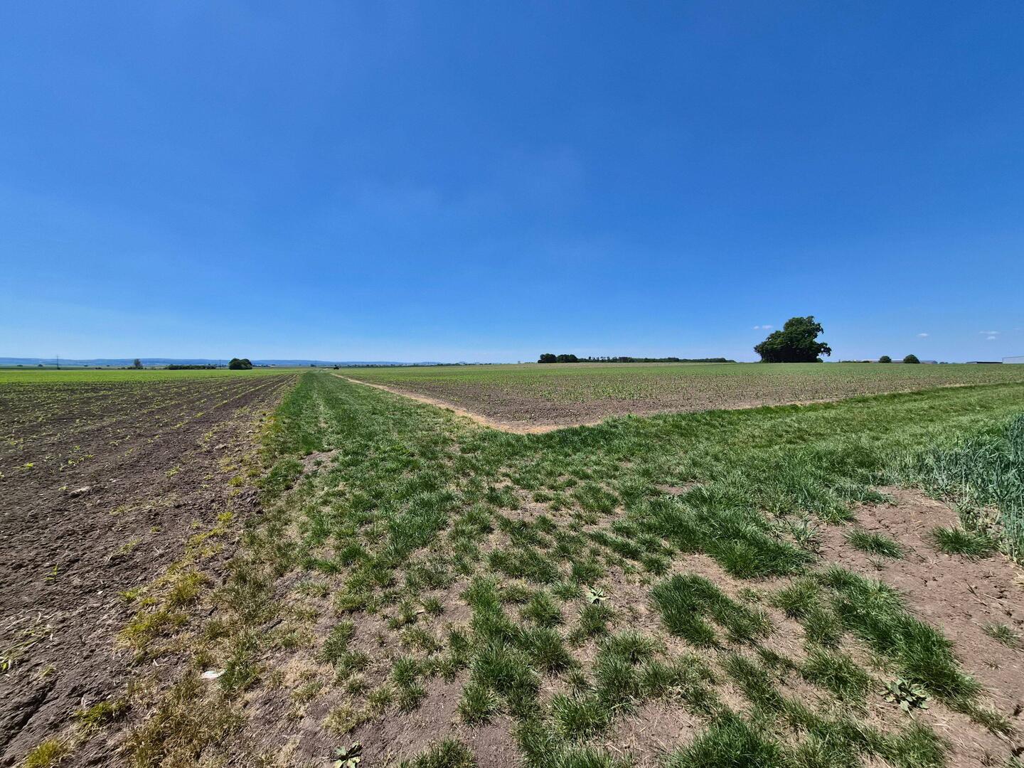 Weer door dat platte landschap.